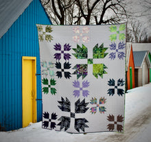 Load image into Gallery viewer, Wild Tracks PAPER Quilt Pattern