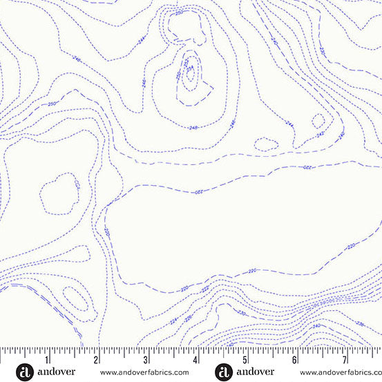 Sun Print Whisper by Alison Glass Topography Pond, 1/2 Yard