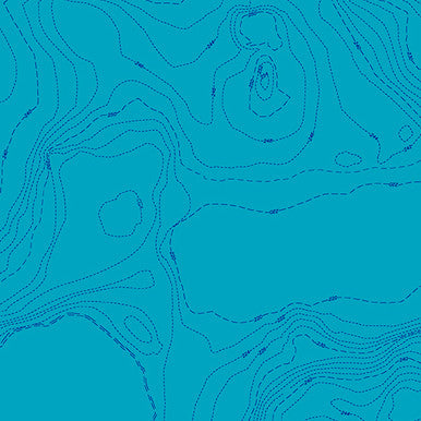 Wildflowers by Alison Glass Topography Lake, 1/2 Yard