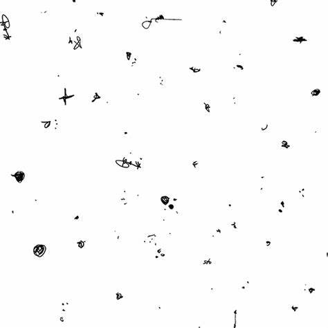 Motley Betty, 3.5 Yards