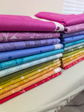 Load image into Gallery viewer, Rainbow Bundle of 12 Fat Quarters
