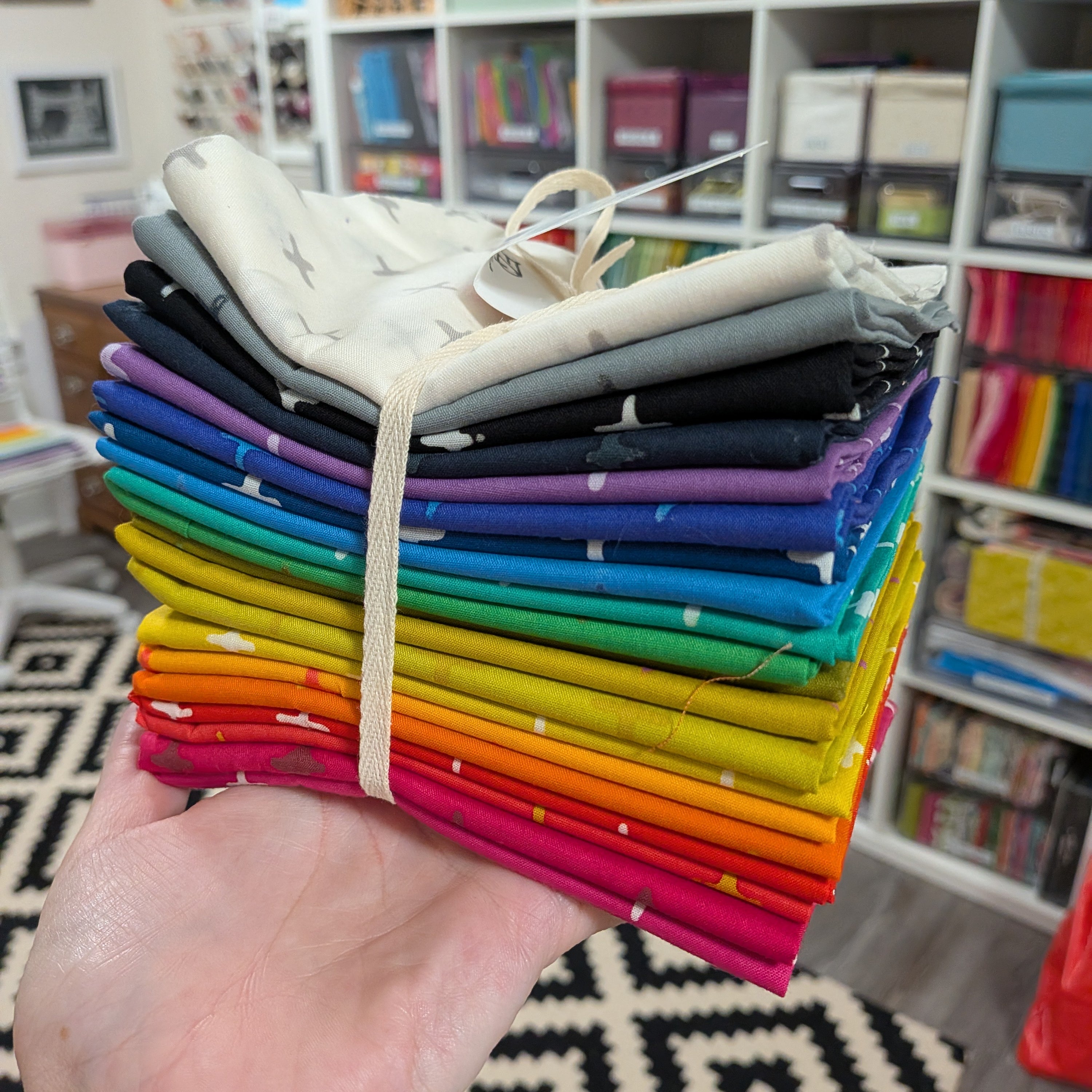 Alison Glass Pulsar Fat Quarter Bundle, 20 Pieces