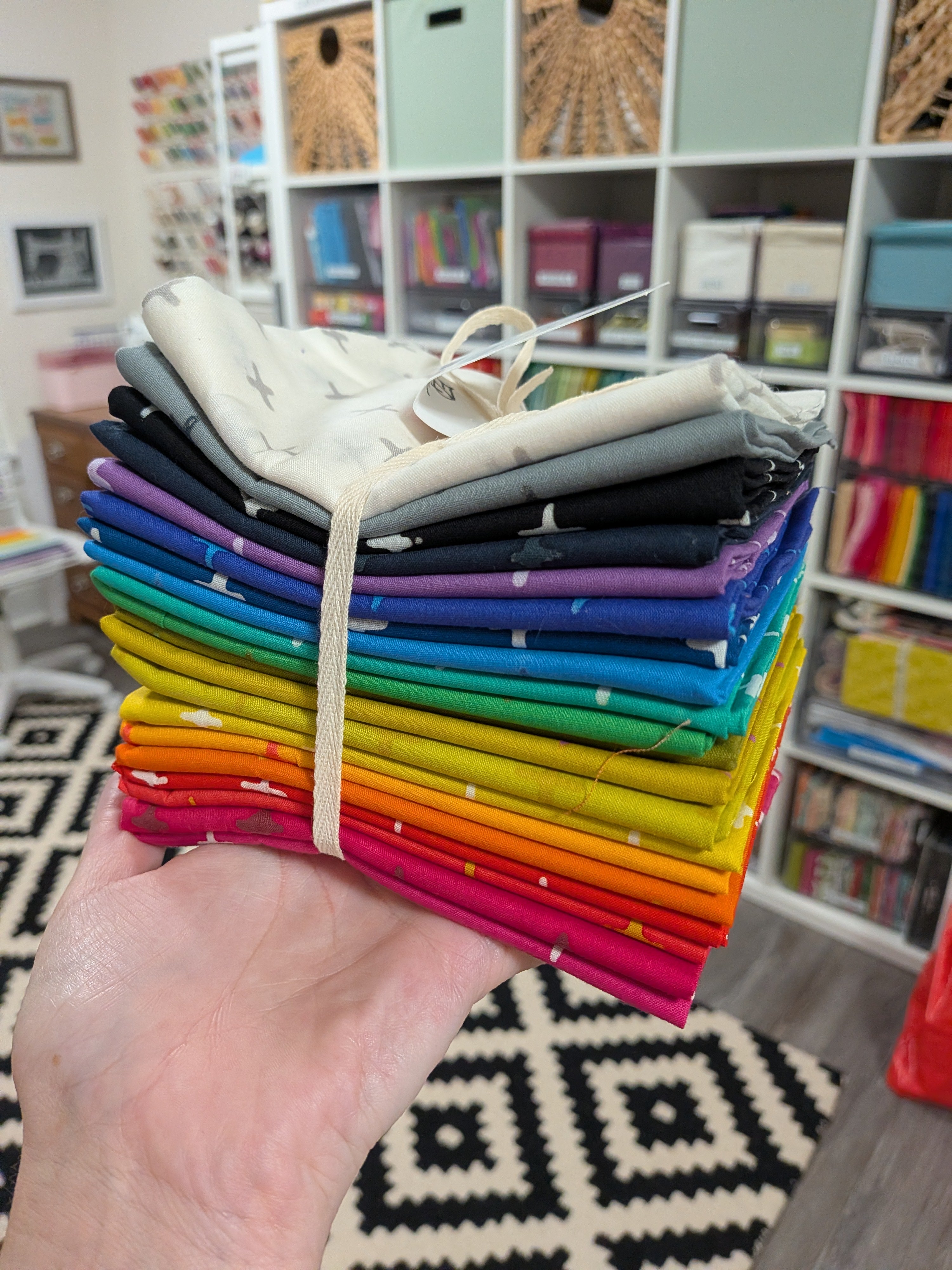 Alison Glass Pulsar Fat Quarter Bundle, 20 Pieces