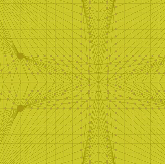 Redux - Interconnection in Acetone by Giucy Giuce, 1/2 yard