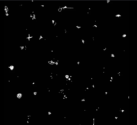 Motley Boris by Giucy Giuce, 1/2 yard