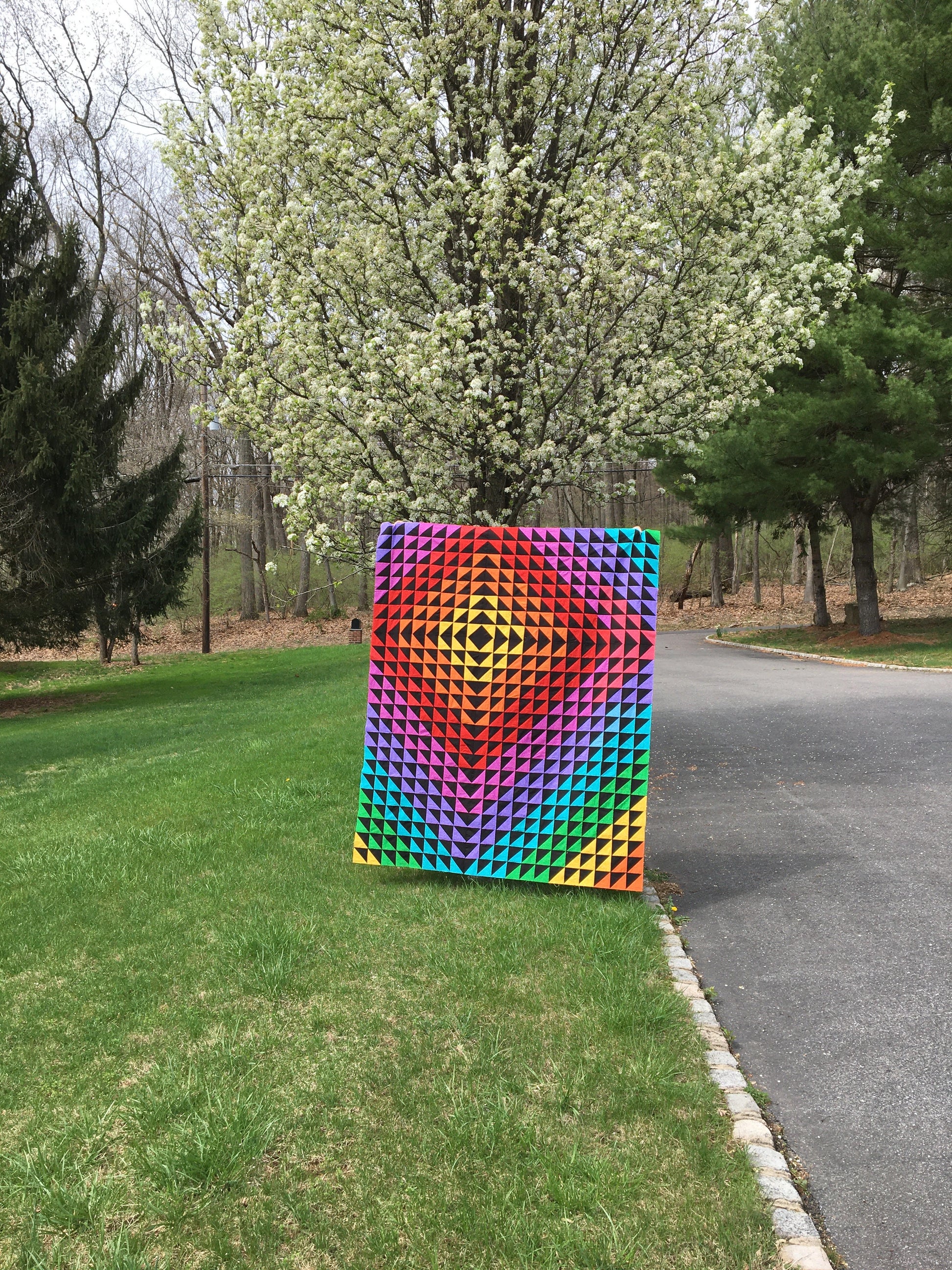 Wavelet PAPER Quilt Pattern