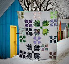 Load image into Gallery viewer, Wild Tracks PAPER Quilt Pattern
