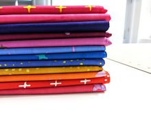 Load image into Gallery viewer, Alison Glass Observatory Bundle of 12 Fat Quarters

